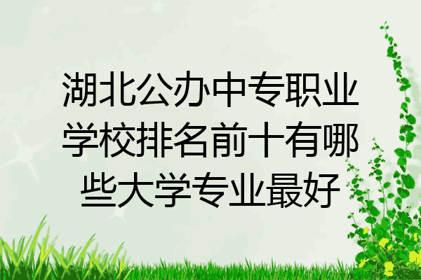 湖北公办中专职业学校排名前十有哪些大学专业最好