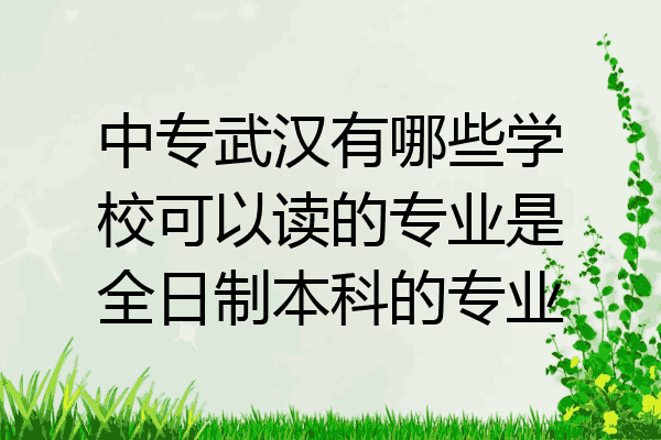 中专武汉有哪些学校可以读的专业是全日制本科的专业