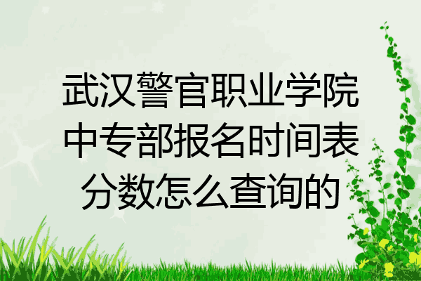 武汉警官职业学院中专部报名时间表分数怎么查询的