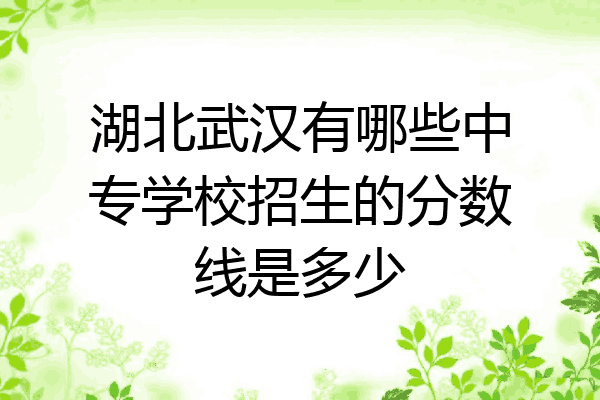 湖北武汉有哪些中专学校招生的分数线是多少