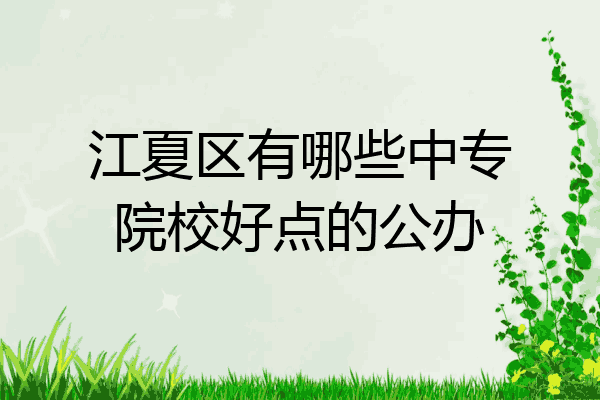 江夏区有哪些中专院校好点的公办