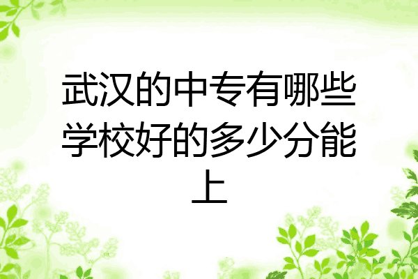 武汉的中专有哪些学校好的多少分能上