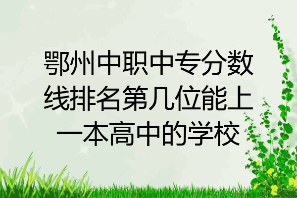 鄂州中职中专分数线排名第几位能上一本高中的学校