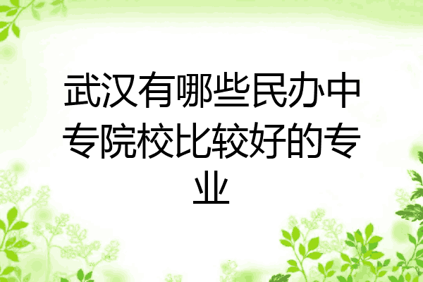 武汉有哪些民办中专院校比较好的专业