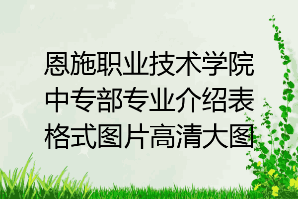 恩施职业技术学院中专部专业介绍表格式图片高清大图