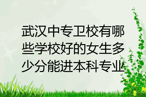 武汉中专卫校有哪些学校好的女生多少分能进本科专业