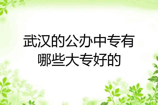 武汉的公办中专有哪些大专好的