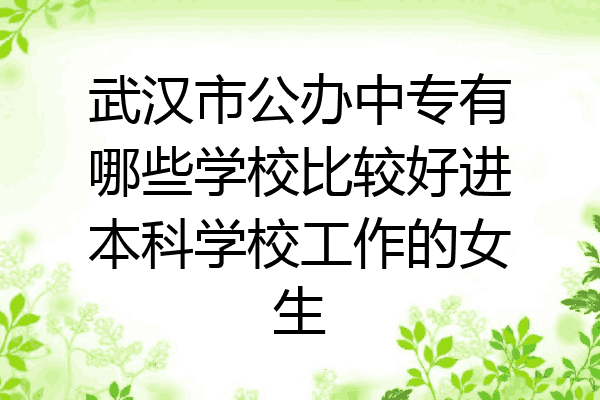 武汉市公办中专有哪些学校比较好进本科学校工作的女生