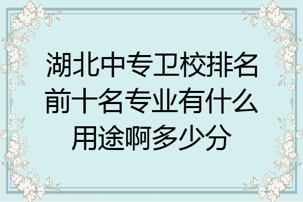 湖北中专卫校排名前十名专业有什么用途啊多少分
