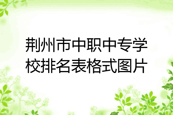 荆州市中职中专学校排名表格式图片