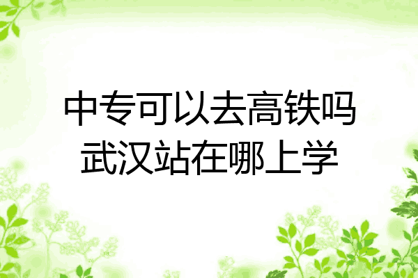中专可以去高铁吗武汉站在哪上学