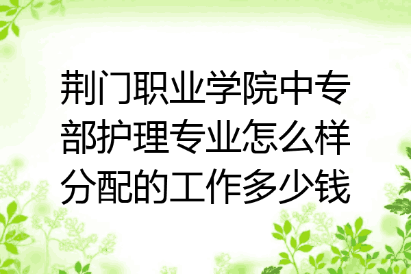 荆门职业学院中专部护理专业怎么样分配的工作多少钱