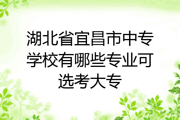 湖北省宜昌市中专学校有哪些专业可选考大专