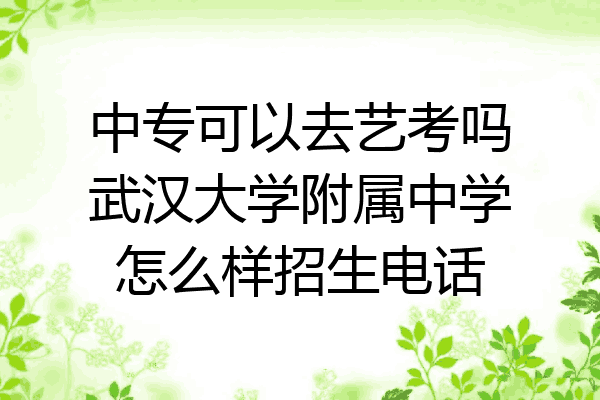 中专可以去艺考吗武汉大学附属中学怎么样招生电话