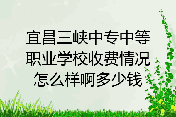 宜昌三峡中专中等职业学校收费情况怎么样啊多少钱