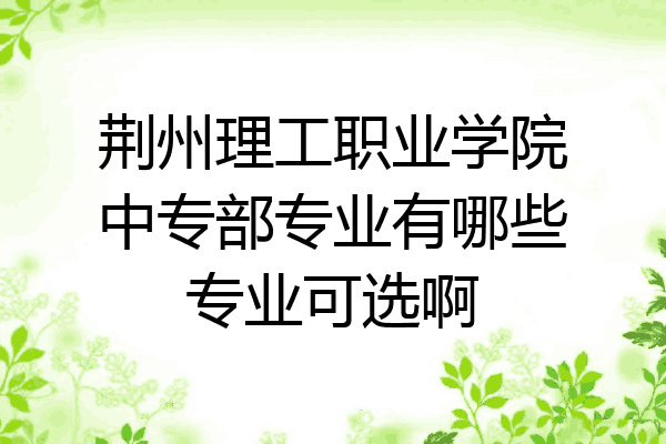 荆州理工职业学院中专部专业有哪些专业可选啊