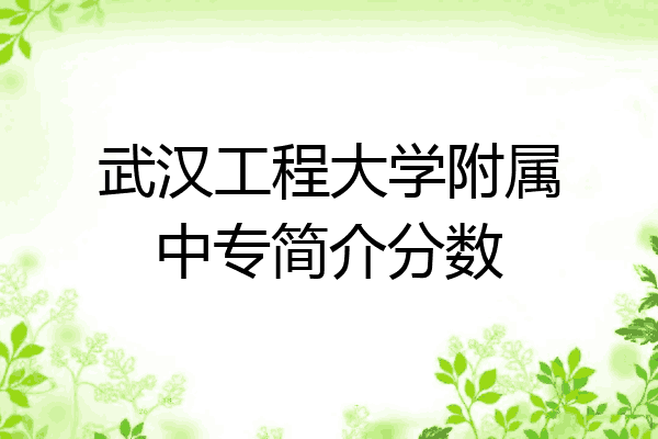 武汉工程大学附属中专简介分数