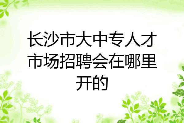 长沙市大中专人才市场招聘会在哪里开的