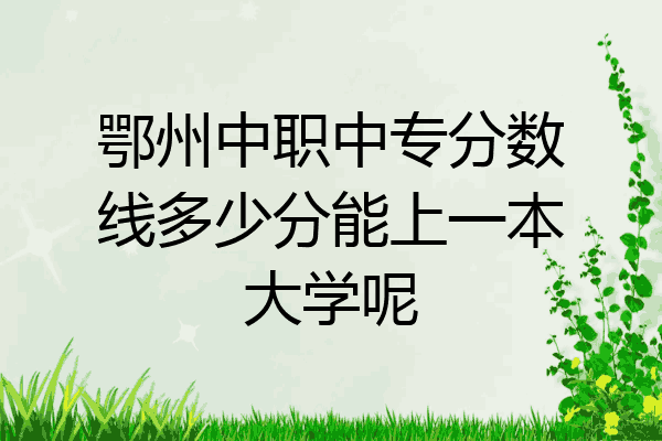 鄂州中职中专分数线多少分能上一本大学呢