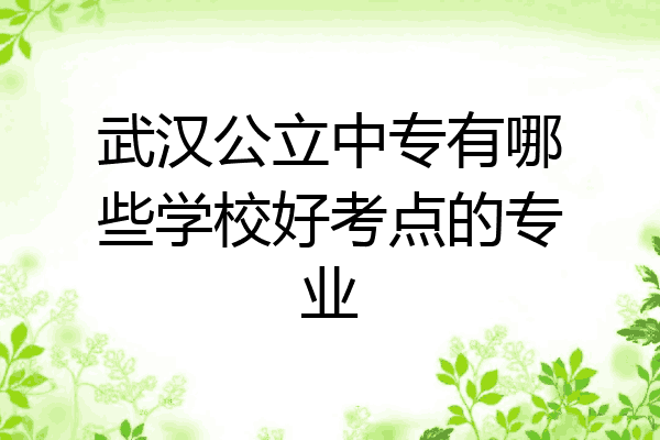 武汉公立中专有哪些学校好考点的专业