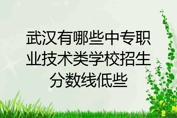 武汉有哪些中专职业技术类学校招生分数线低些