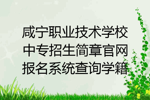 咸宁职业技术学校中专招生简章官网报名系统查询学籍