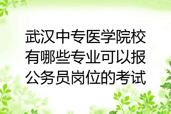 武汉中专医学院校有哪些专业可以报公务员岗位的考试