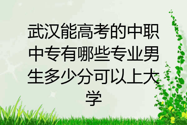 武汉能高考的中职中专有哪些专业男生多少分可以上大学