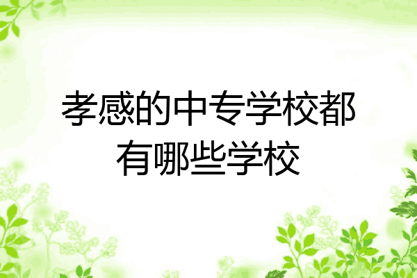 孝感的中专学校都有哪些学校