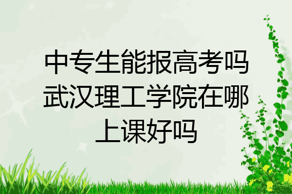 中专生能报高考吗武汉理工学院在哪上课好吗
