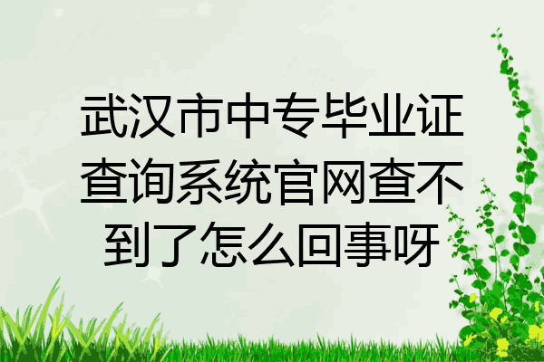武汉市中专毕业证查询系统官网查不到了怎么回事呀