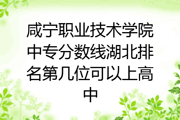 咸宁职业技术学院中专分数线湖北排名第几位可以上高中