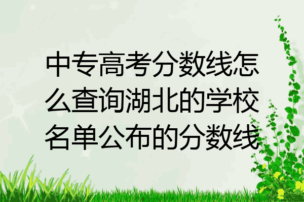 中专高考分数线怎么查询湖北的学校名单公布的分数线