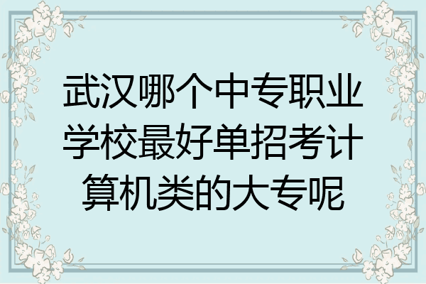 武汉哪个中专职业学校最好单招考计算机类的大专呢