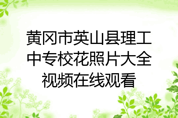 黄冈市英山县理工中专校花照片大全视频在线观看