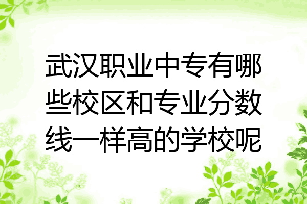 武汉职业中专有哪些校区和专业分数线一样高的学校呢