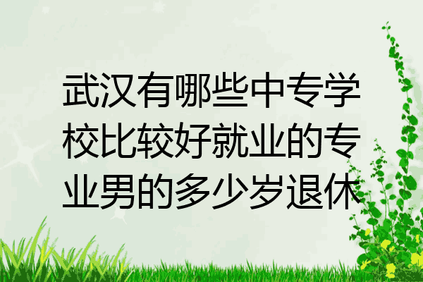武汉有哪些中专学校比较好就业的专业男的多少岁退休