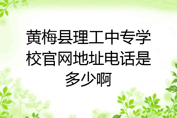 黄梅县理工中专学校官网地址电话是多少啊