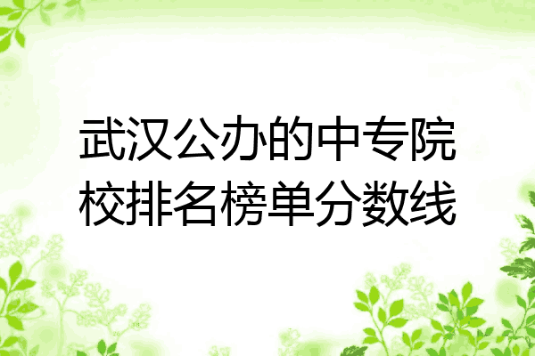 武汉公办的中专院校排名榜单分数线