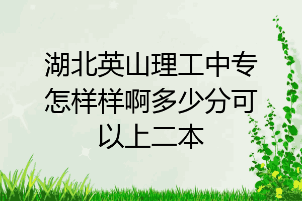 湖北英山理工中专怎样样啊多少分可以上二本