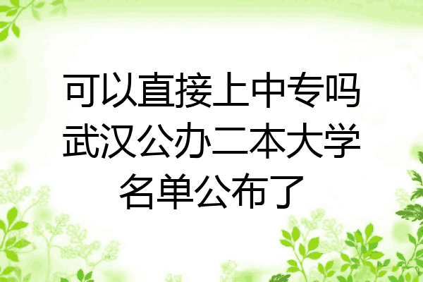 可以直接上中专吗武汉公办二本大学名单公布了