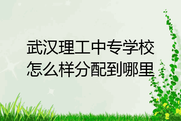 武汉理工中专学校怎么样分配到哪里