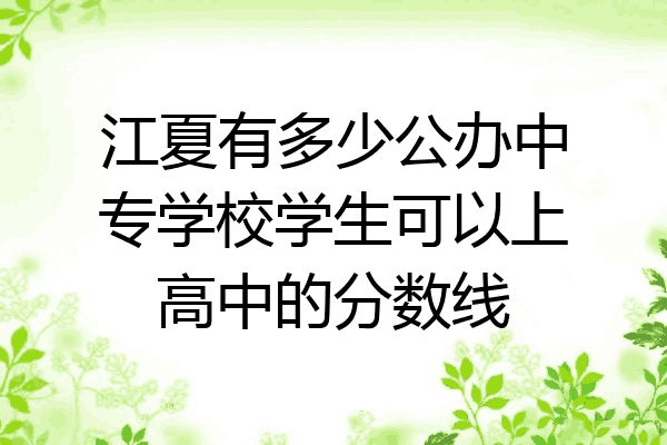 江夏有多少公办中专学校学生可以上高中的分数线
