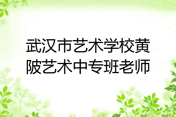 武汉市艺术学校黄陂艺术中专班老师