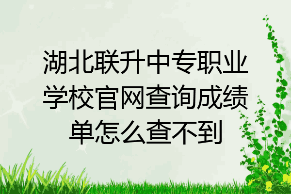湖北联升中专职业学校官网查询成绩单怎么查不到