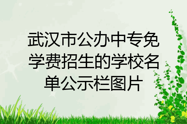 武汉市公办中专免学费招生的学校名单公示栏图片
