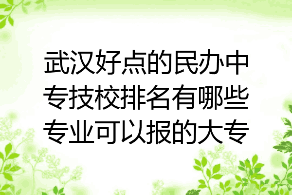 武汉好点的民办中专技校排名有哪些专业可以报的大专