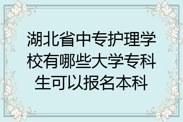 湖北省中专护理学校有哪些大学专科生可以报名本科