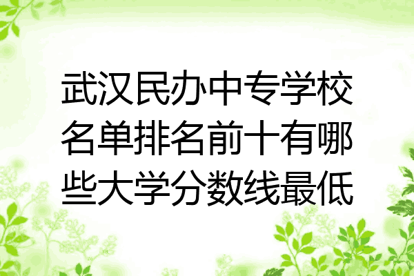 武汉民办中专学校名单排名前十有哪些大学分数线最低