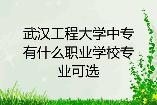 武汉工程大学中专有什么职业学校专业可选